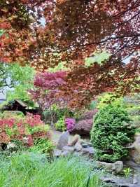 Weekend Fun at Calderstones Park