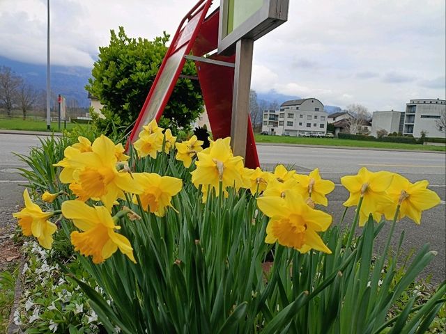 For one-day in Liechtenstein,small yet beautiful country 