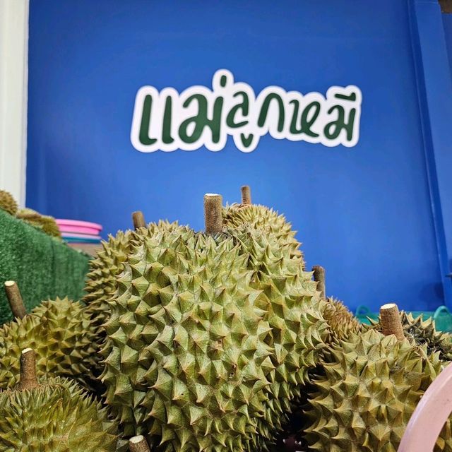 ทุเรียนลับแล แม่ลูกหมี [ อุตรดิตถ์]