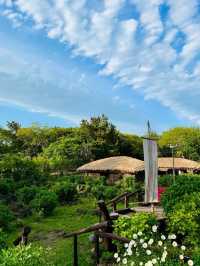 Jeju Island