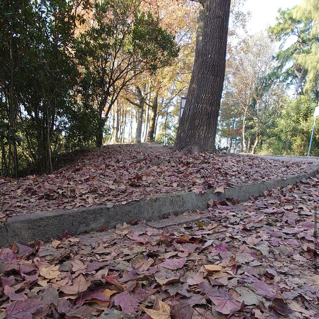 大欖郊野公園 (Tai Lam Country Park)