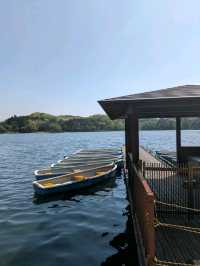 晴れた日はここで決まり！南湖公園さんぽ日和
