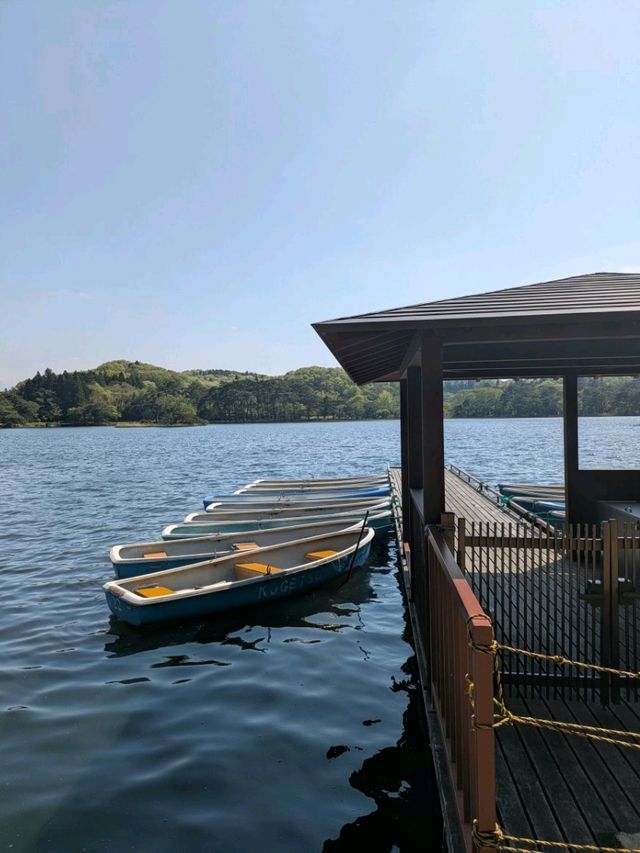 晴れた日はここで決まり！南湖公園さんぽ日和