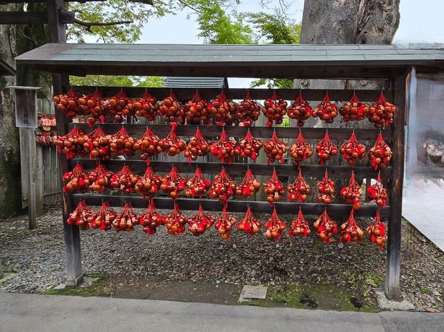 必見スポット☆盛岡八幡宮