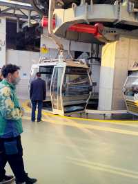 香港 ｜世界十大最佳纜車體驗 昂坪360