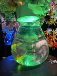 【銀座的夢幻秘境！藝術與水族的奇幻融合體驗🐠✨】