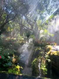 Where Coffee Meets Fairyland in Chiang Rai