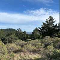 Mount Tamalpais State Park – Mill Valley, CA