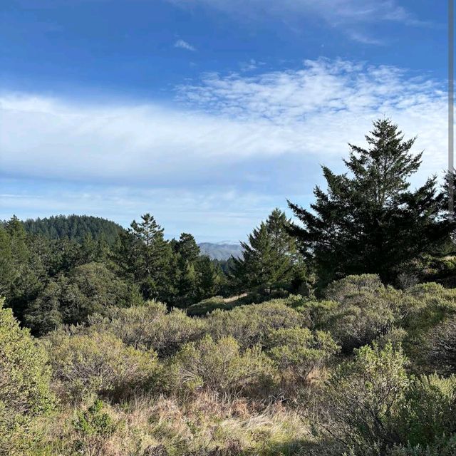 Mount Tamalpais State Park – Mill Valley, CA