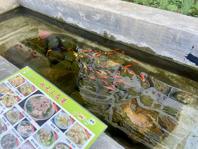 🏯大鵬所城南門食早餐推介✨ 樂山燒烤•重慶小麵🍜