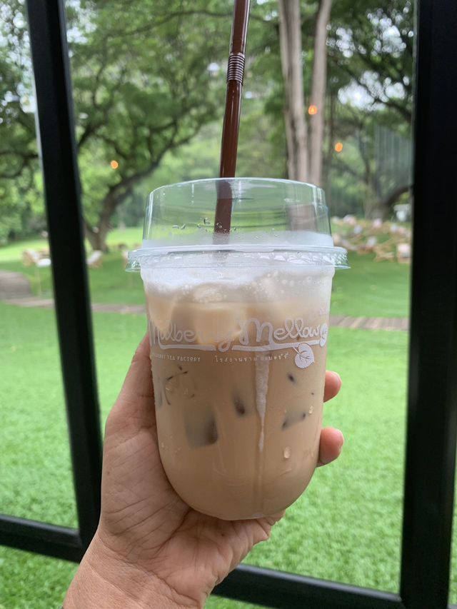 Mulberry Mellow cafe 