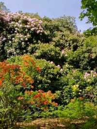 Sheringham Park, Norfolk – A Hidden Gem of the North Norfolk Coast