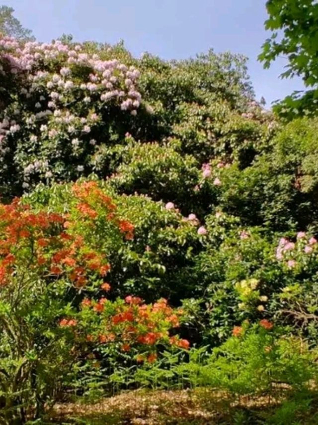 Sheringham Park, Norfolk – A Hidden Gem of the North Norfolk Coast