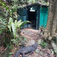 嘉道理農場暨植物園（Kadoorie Farm and Botanic Garden）