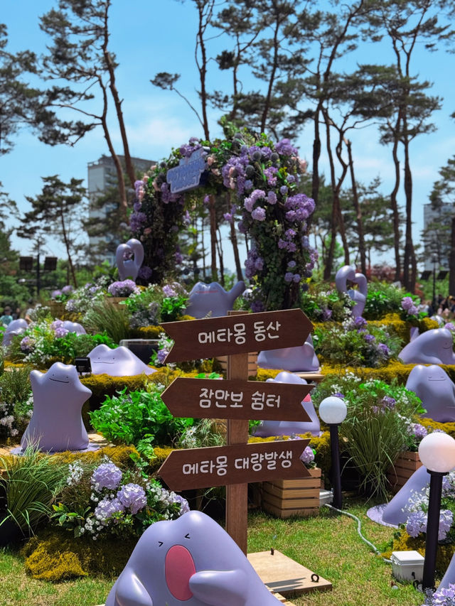🇰🇷잠실 롯데월드타워에 메타몽 꽃이 피었습니다💜💟