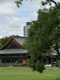 Full trip itinerary in Osaka
