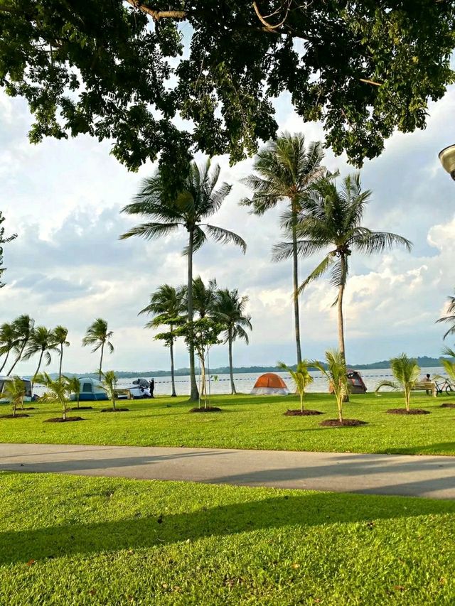 Pasir Ris Park – A Relaxing Coastal Escape in Singapore