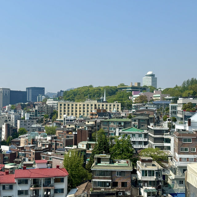 남산둘레길 가자