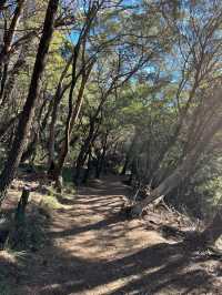 Prince Henry Cliff Walk at Blue Mountain, Sydney