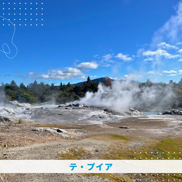 【NZ】🌋オークランドからロトルアへ！