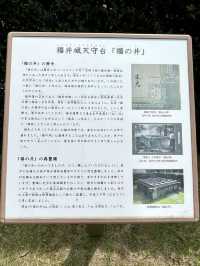 A Day of Nature & History in Fukui