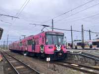 九州熊本福岡初體驗🌸超級適合帶長輩一起旅遊🥳