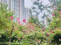 A Breath of Fresh Air at Misari Han River Park 4