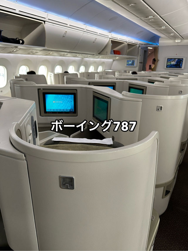 【成田→ハノイ】ビジネスクラス搭乗記＆ハノイ国際線→国内線移動