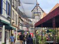 The Melancholy Truth of Cameron Highlands’ French Village: Beauty Shadowed by Decay and Disappointme