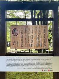 A Slow Stroll Through Gifu – Nature, History & Calm