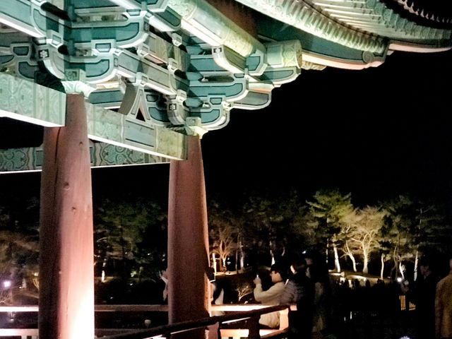 경주 감성 당일치기✨ 감포항부터 안압지 야경까지 알찬 코스