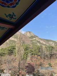 🌿 마음이 머무는 곳, 공주 학림사 오등성원