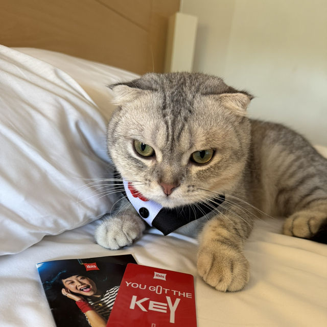 เที่ยวหัวหินพักโรงแรม Pet friendly 