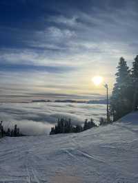 Canada - Vancouver, Vancouver Island, and some in Montreal. 