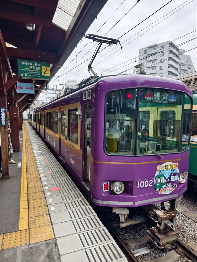 東京之旅-鐮倉與富士山