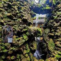 คาเฟ่สวนสวยในปั๊มน้ำมัน • FORTY-NINE เชียงใหม่