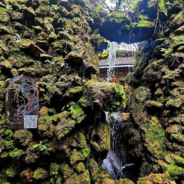 คาเฟ่สวนสวยในปั๊มน้ำมัน • FORTY-NINE เชียงใหม่