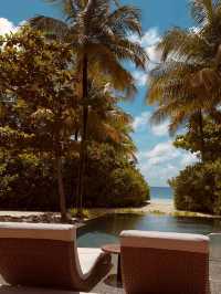 🌸 🇲🇻 Waldorf Astoria Maldives Ithaafushi