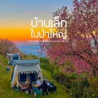 ลานกางเต็นท์สีชมพูฟีลโคตรดี ที่เชียงใหม่ 🌸🏠⛺️