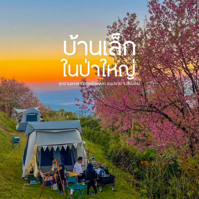 ลานกางเต็นท์สีชมพูฟีลโคตรดี ที่เชียงใหม่ 🌸🏠⛺️