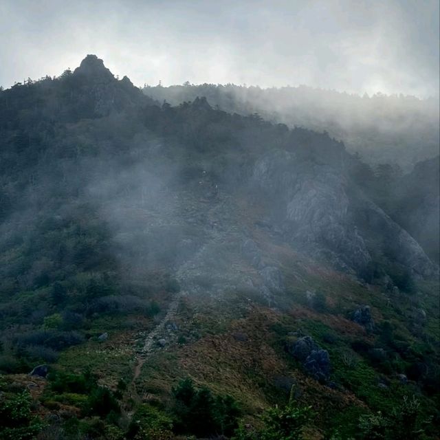 Jirisan Summit Was a Beast (But Worth It)