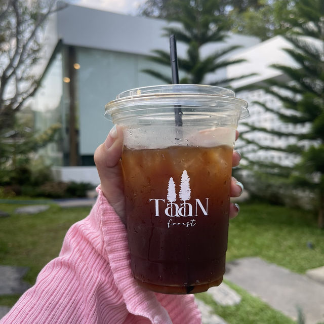 คาเฟ่ใกล้น้ำตกขุนกรณ์ 🌳Taan forest cafeเชียงราย