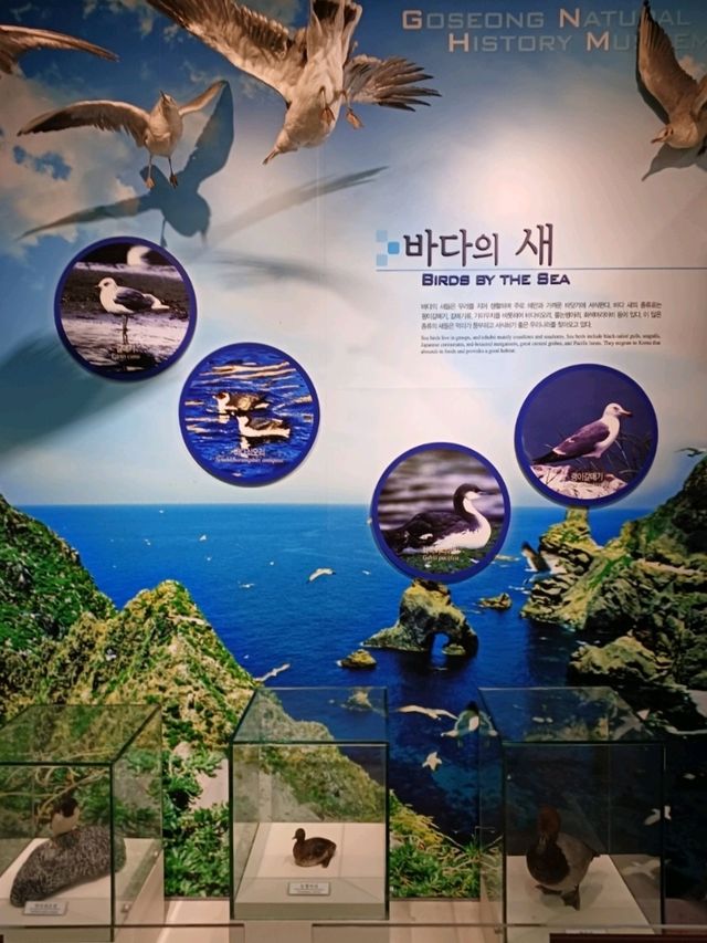 자연 탐험이 실내에서 살아난 곳