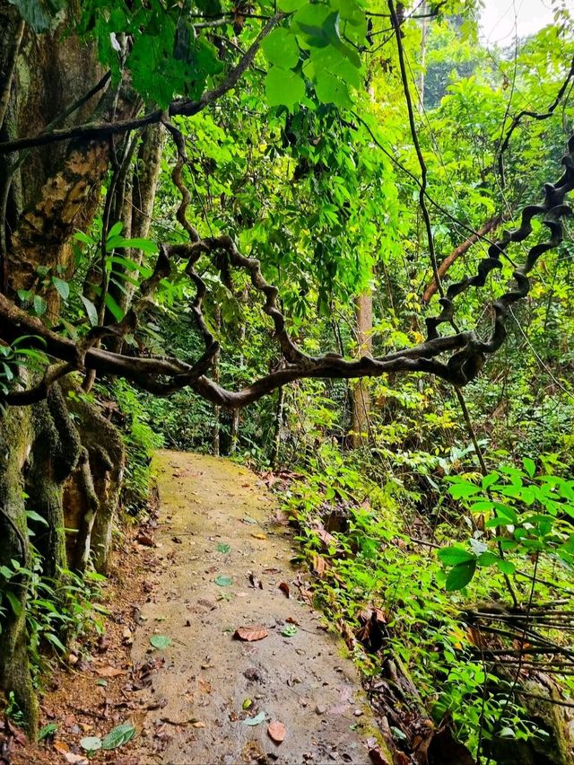 🏞️ : น้ำตกเฉลิมพระเกียรติ ร.9 เที่ยวเบตง ยะลา