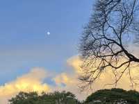 ลานกว้างพักผ่อนหลังตึกการกีฬา กาญจนบุรี 🌳🚶‍♀️