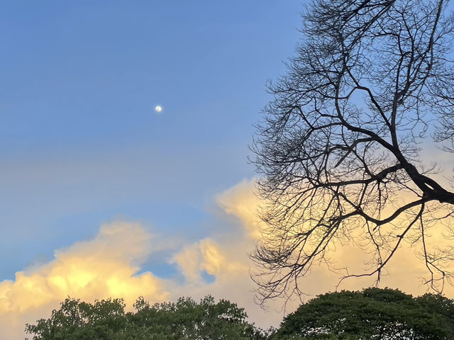ลานกว้างพักผ่อนหลังตึกการกีฬา กาญจนบุรี 🌳🚶‍♀️