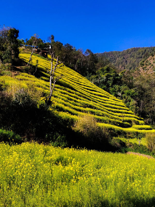 Best short trip near Kathmandu valley 
