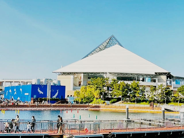 橫濱🇯🇵 八景島水族館
