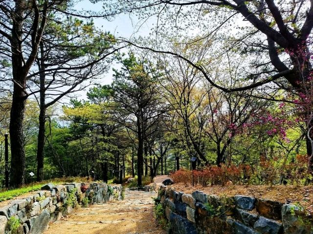 Moonrise Magic in the Middle of Seoul