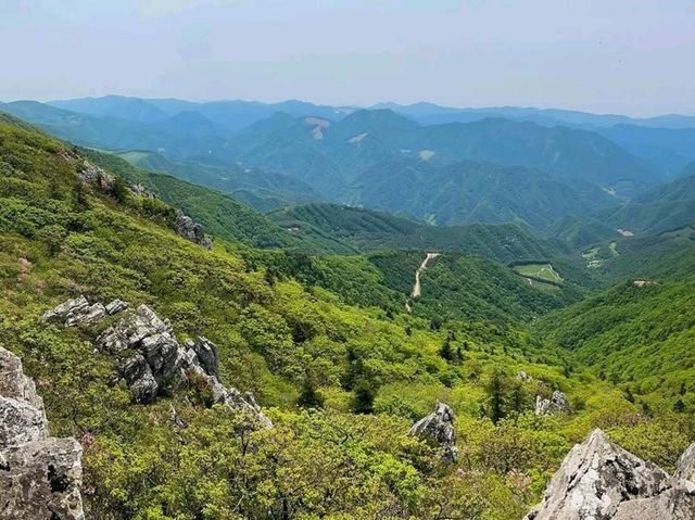 Quiet Trails and Mountain Zen in Jeongseon